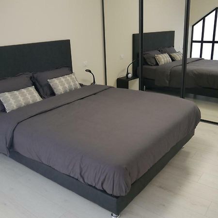 Grand Loft Chic Et Moderne, Deco Industrielle Apartment Beausoleil Exterior photo